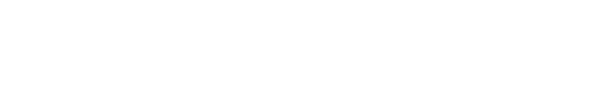 Auriga IA